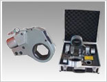 Һ������